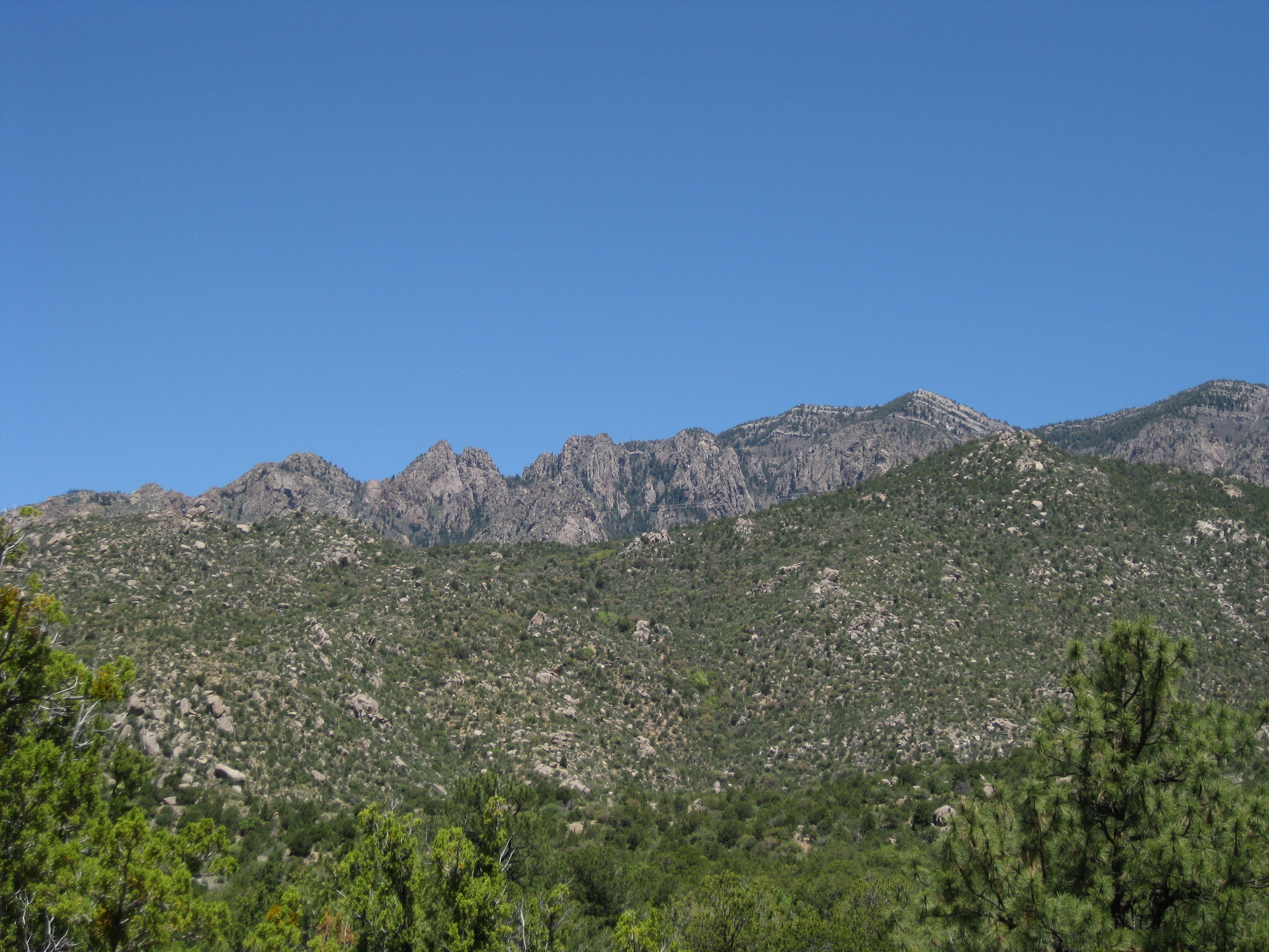 Sandia Mountains2 Pino Trail ABQ NM.JPG